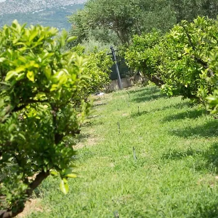 Jomi Holiday home Kastel Novi